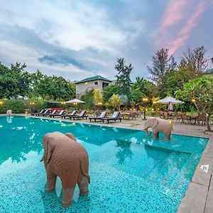Ranthambhore Kothi